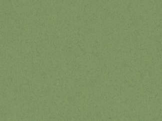 Moss