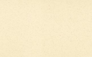 Antique Lace-114