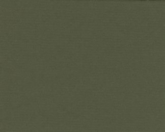 Dark Olive