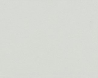 Neutral Gray-81