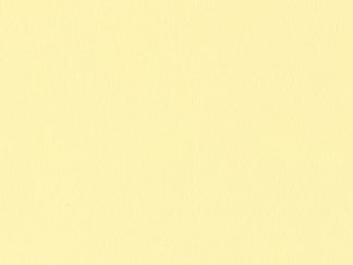 French Jonquil-117