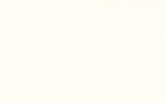 White-17