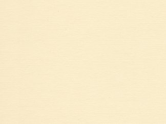 Ivory-131