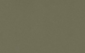 Olive Bronze-90