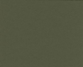 Dark Olive