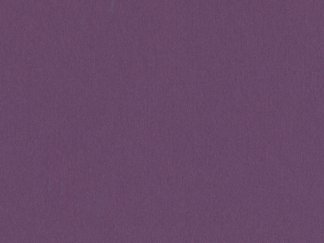 Purple Wildflower-92