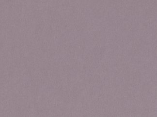 Grey Violet-123