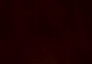 Tuscanny Wine Black Core Leather-34