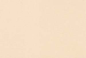 Almond - 76