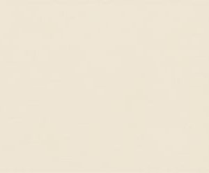 Antique Gray-75