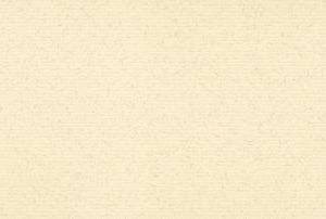 Antique Lace-114