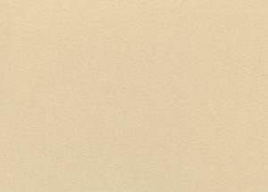 Antique Tan-38