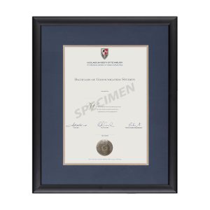 Calais - Blue Mat with Gold Insert