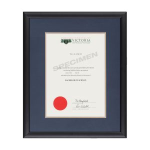 Calais - Blue Matboard with Gold insert