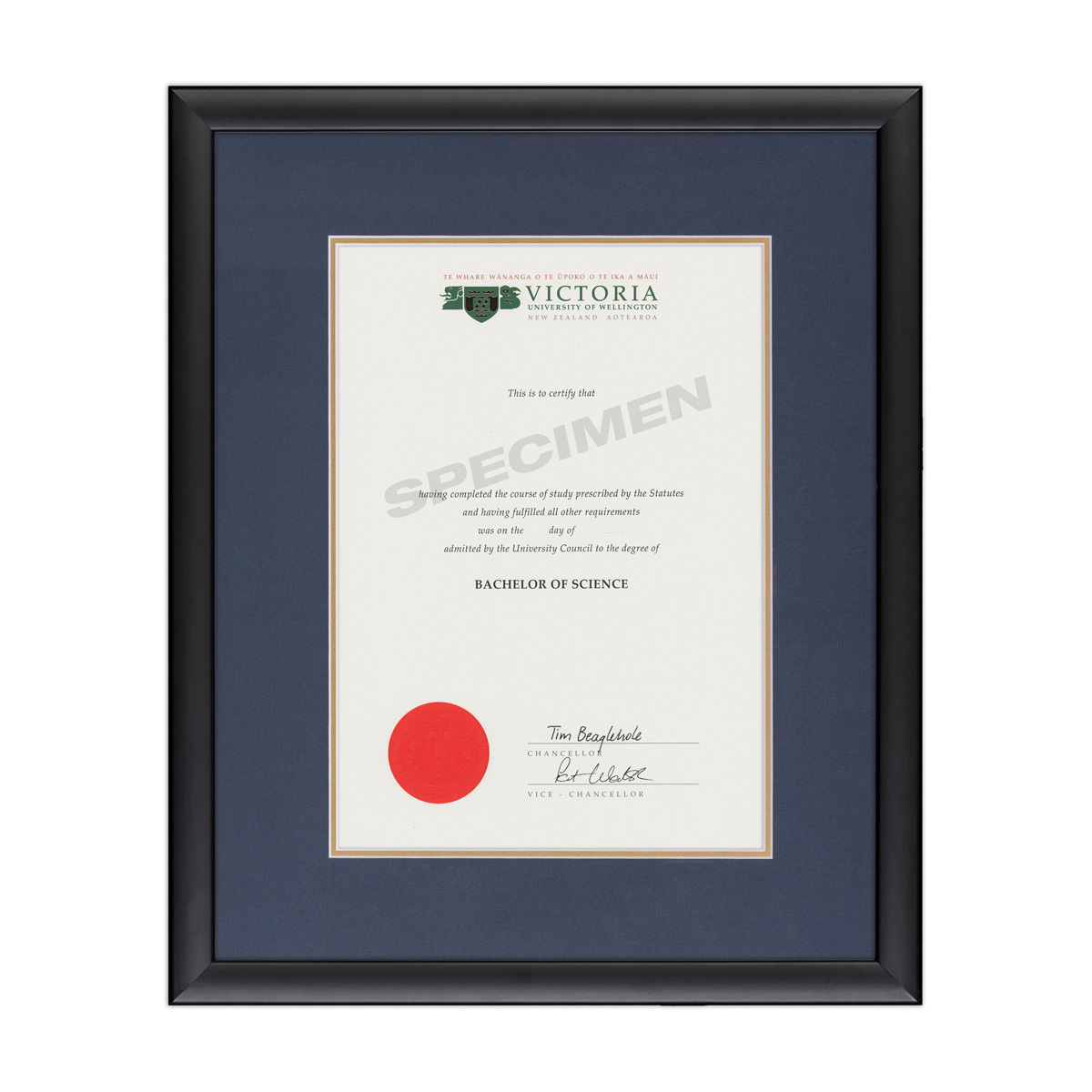 BLKCURV_BLUE GOLD _VIC