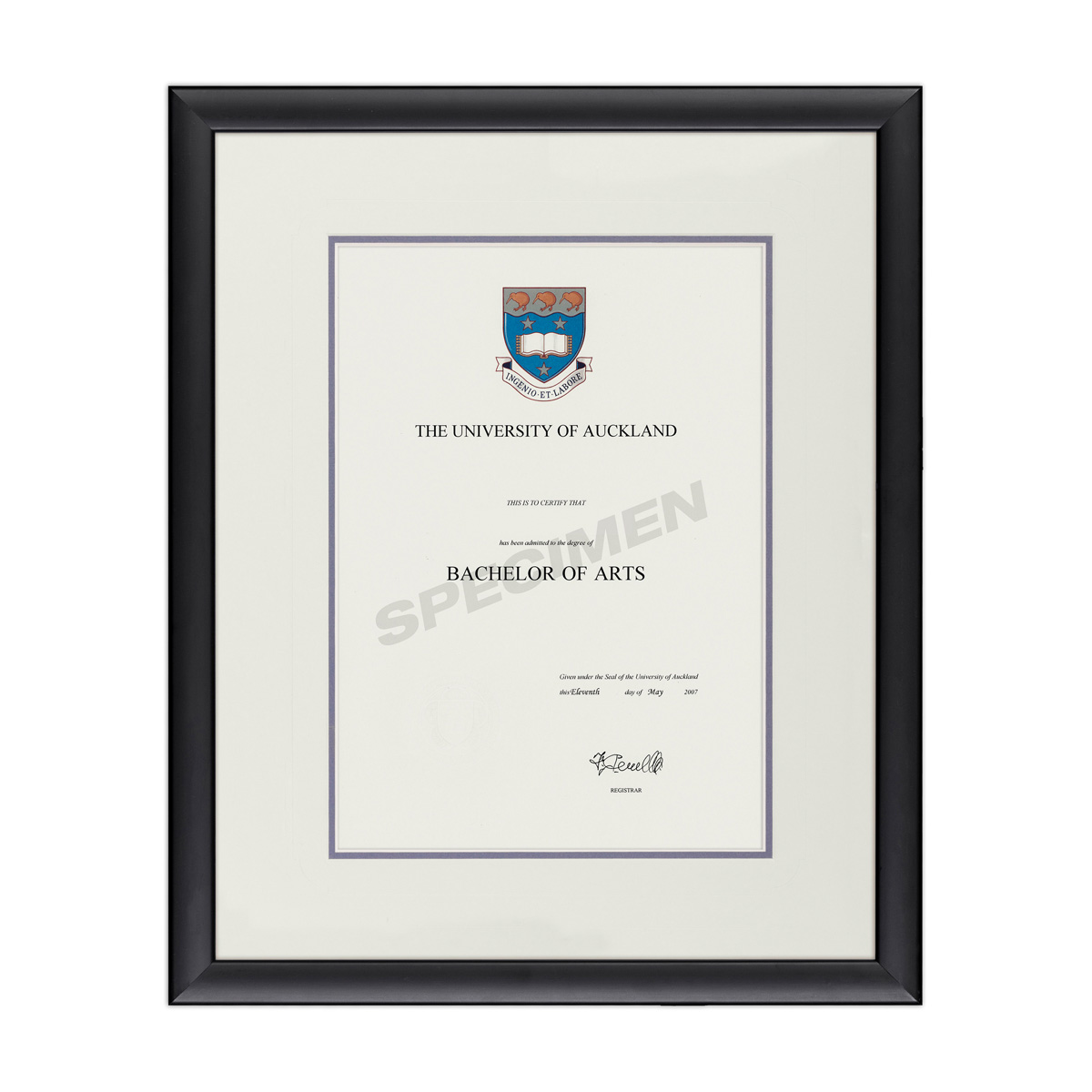 BLKCURV_CREAM BLUE _AKL