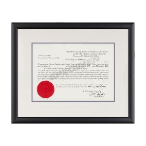 Calais, Cream, Navy Blue UVC