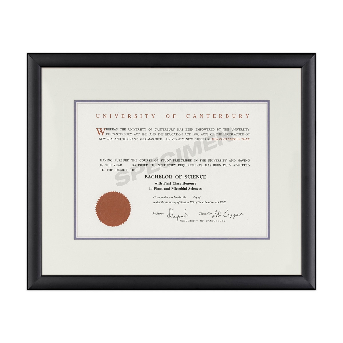 BLKCURV_CREAM BLUE _CANT