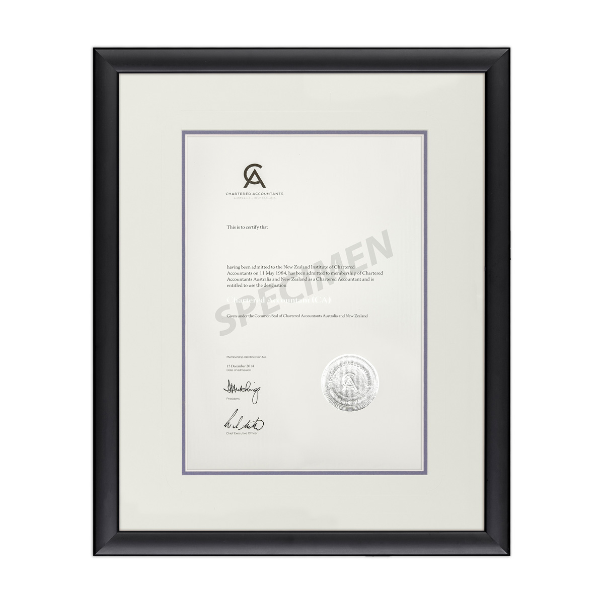 BLKCURV_CREAM BLUE_CA