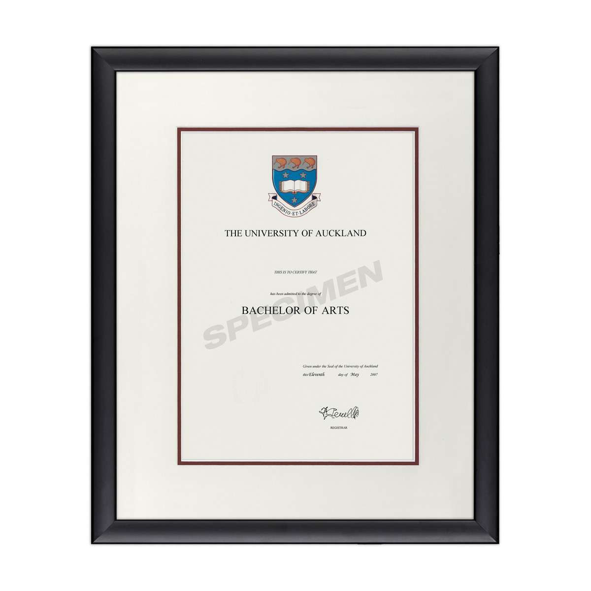 BLKCURV_CREAM RED _AKL