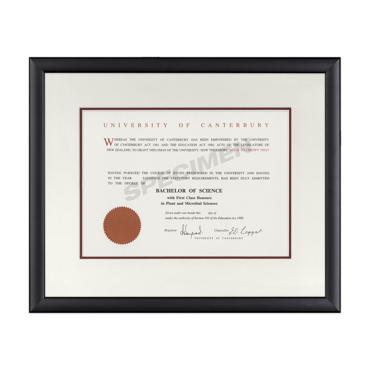 BLKCURV_CREAM RED _CANT