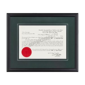 Calais - Dark Green with V Groove