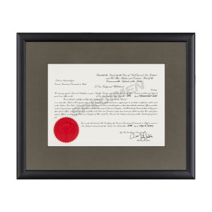 Calais - Khaki Green