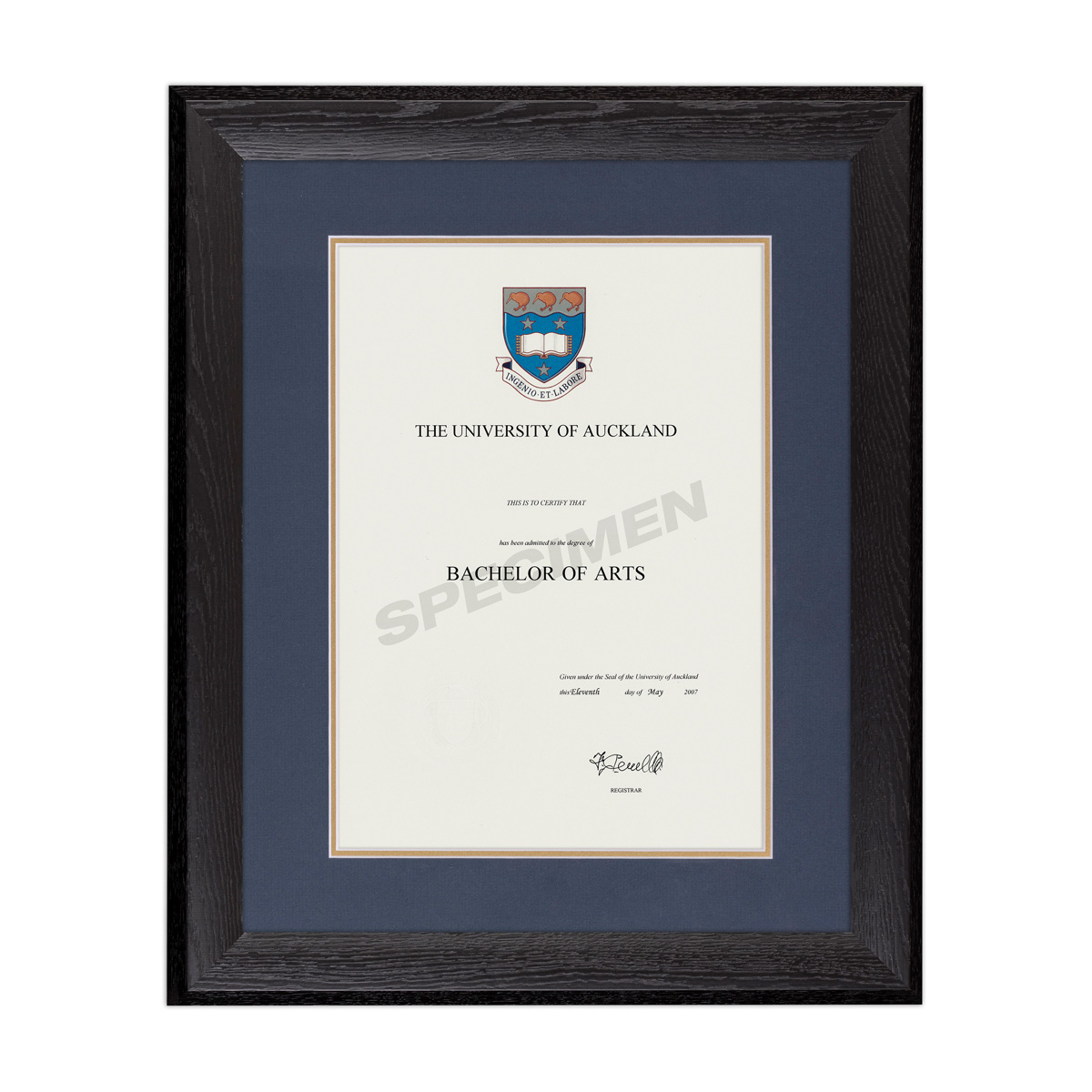 BLKWOOD_BLUE GOLD_AKL