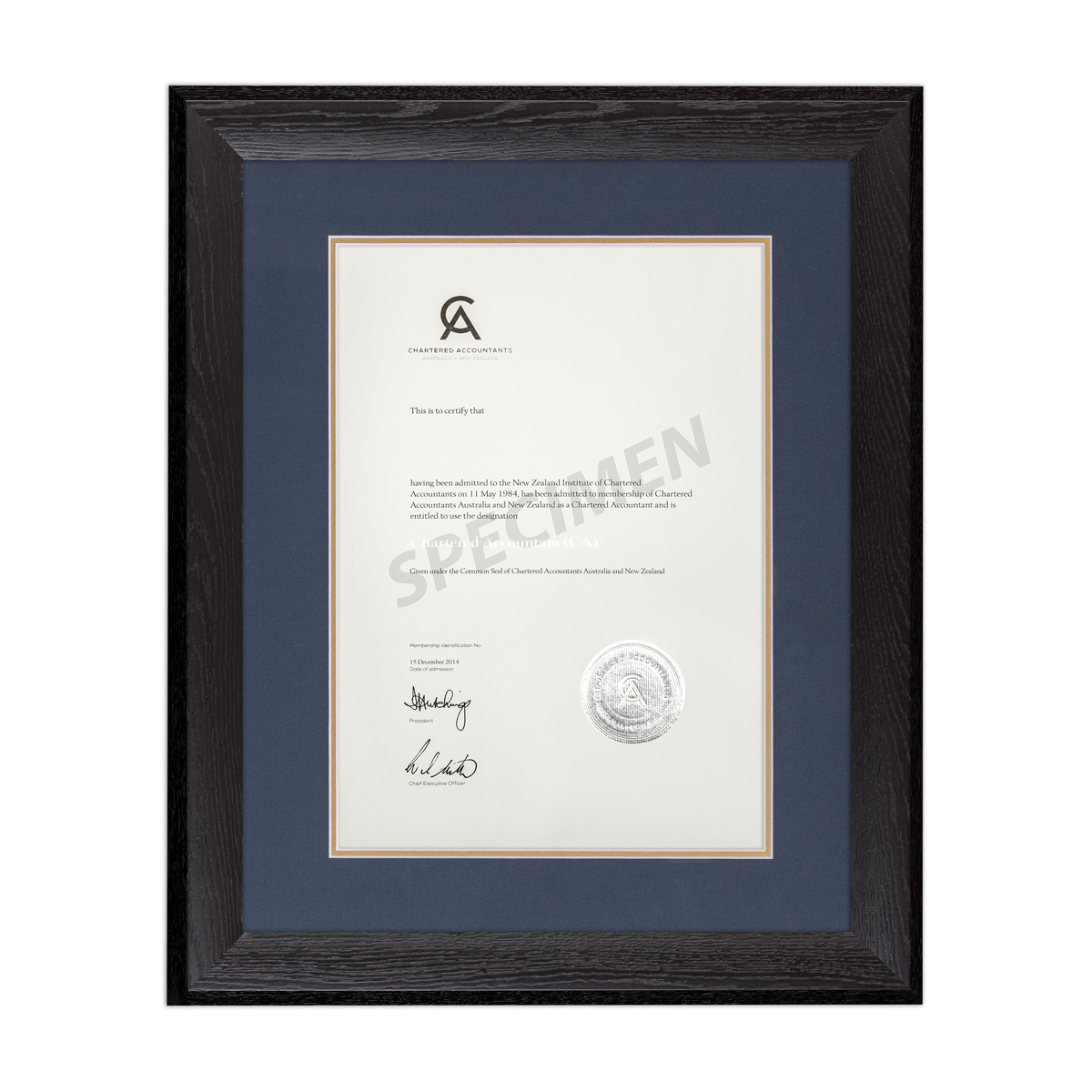 BLKWOOD_BLUE GOLD_CA