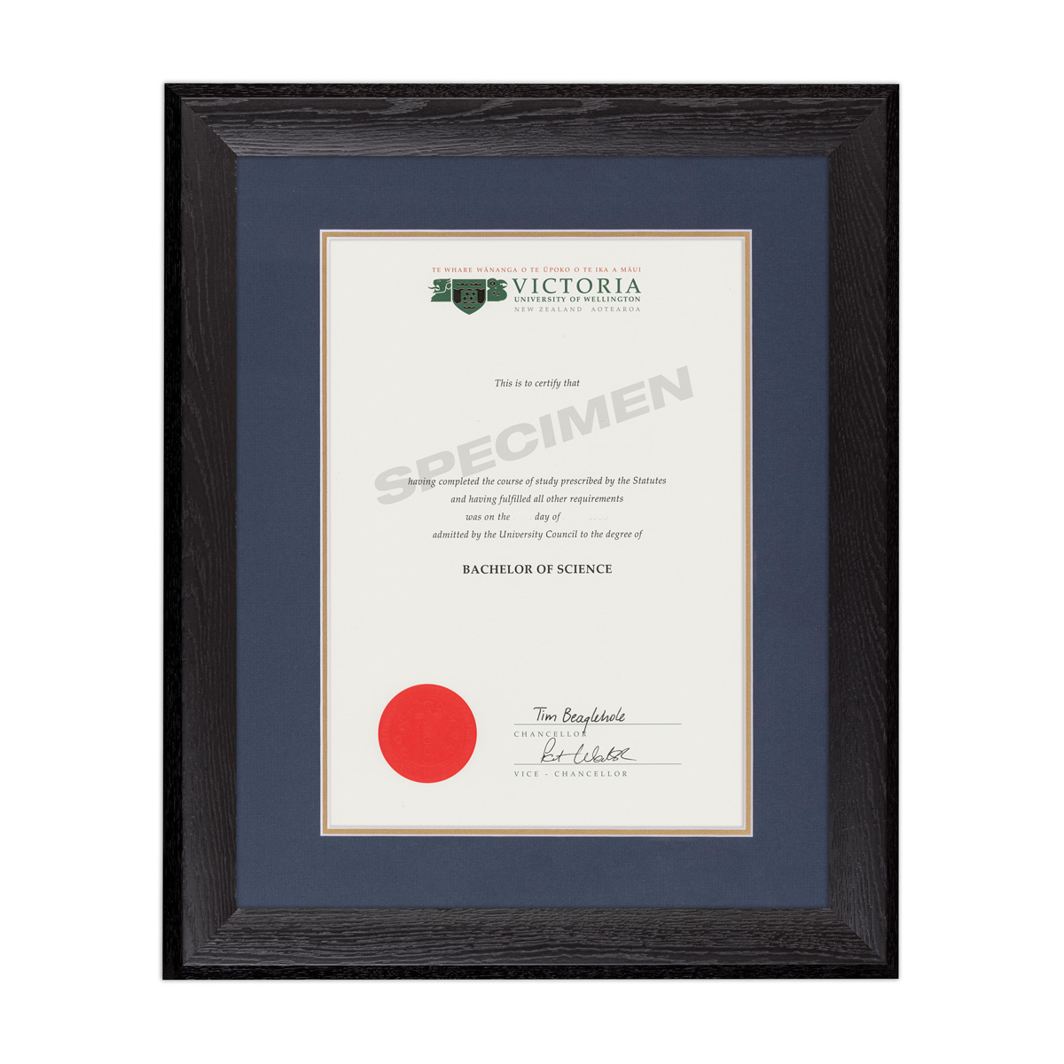 BLKWOOD_BLUE GOLD_VIC