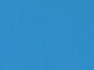 Blue Belle