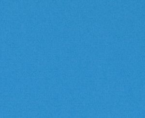 Blue Belle