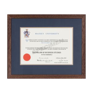 Massey with Dark Brown Frame & Blue/gold matting