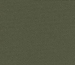 Dark Olive