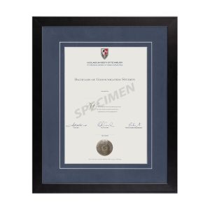 Soho-Blue matboard with V Groove