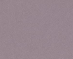 Grey Violet-123