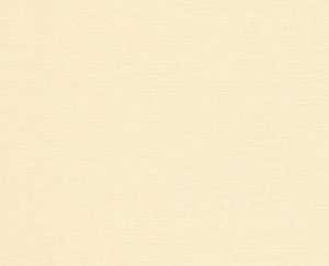 Ivory-131