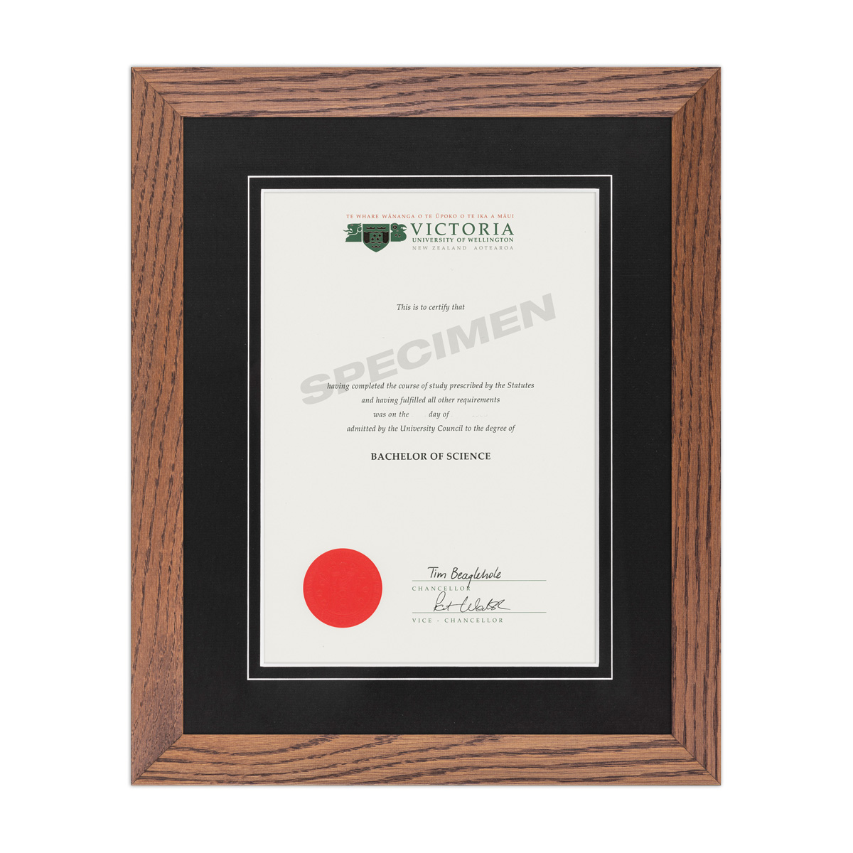 LIGHTGRAIN_BLACK_VIC