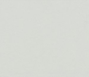 Neutral Gray-81