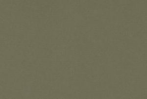 Olive Bronze-90