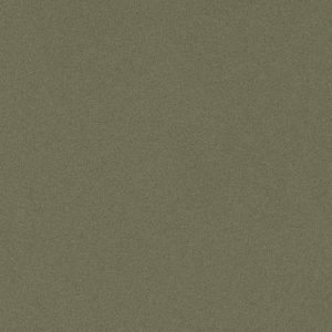 Olive Bronze on Black Core