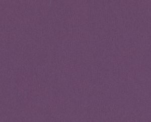 Purple Wildflower-92