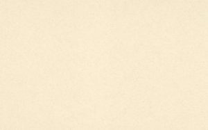 Spice Ivory