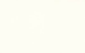 White-17