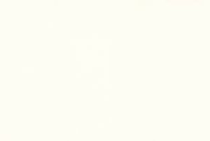White on Black Core