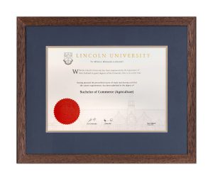 Lincoln with Dark Brown Frame & Blue/gold matting