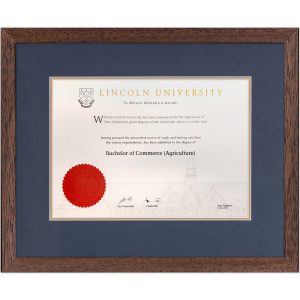 Lincoln with Dark Brown Frame & Blue/gold matting