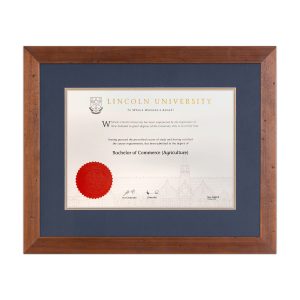 Lincoln with Dark Brown Frame & Blue/gold matting