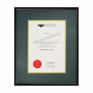 Victoria Degree with Black Frame and Green & Gold Matboard